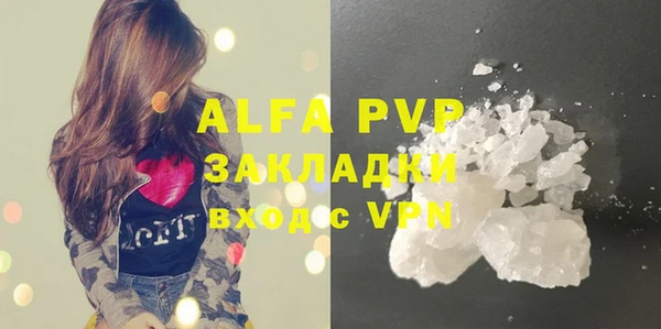 стаф Алексин