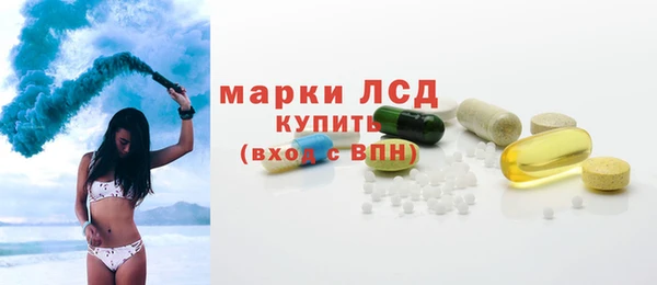 стаф Алексин