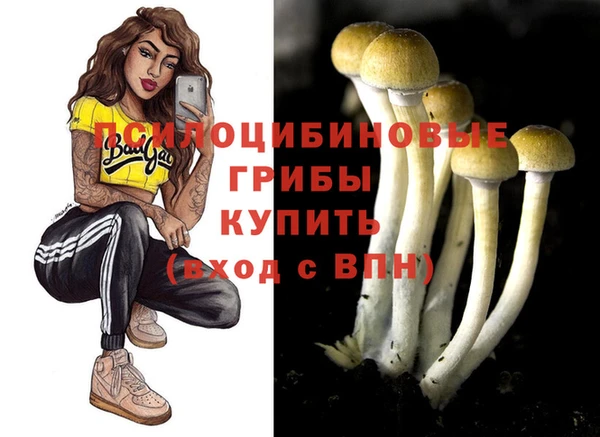 стаф Алексин
