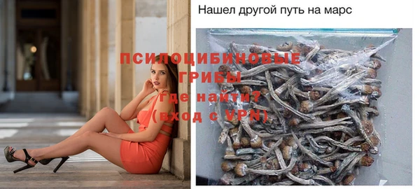 синтетический гашиш Алексеевка