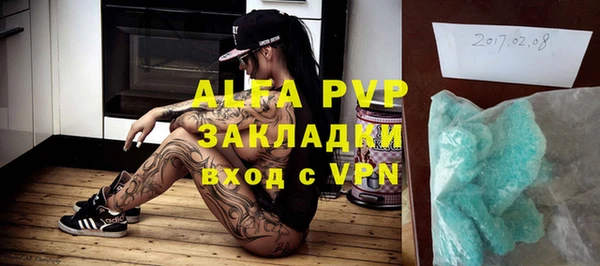 стаф Алексин